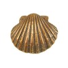 Bronze Scallop Scallop (Without Gift Box)