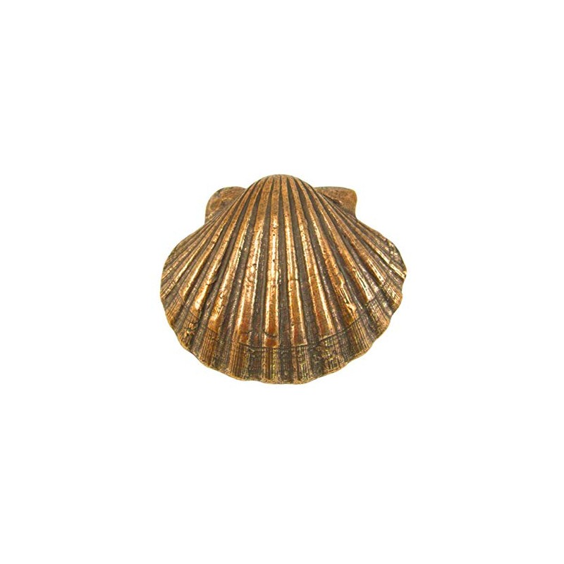 Bronze Scallop Scallop (Without Gift Box)