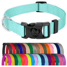Country Brook Petz - American-Made Dog Collar for Large, Medium, and Small Dogs and Puppies - Deluxe Heavy Duty Nylon in 33 Dazzling Colors (Large, 1 Inch Wide, Light Cyan)