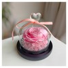 WEILEHAPPY Flowers for Delivery - Forever Flowers Rose in Glass