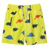LIZENS Boys Swim Trunks UPF 50+ Quick Dry Striped Bathing