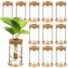 Baderke 12 Packs Propagation Vases for Plants Plastic Plant Propagation with Hole Lid and Bamboo Stand Growing in Water Hydroponic Home Office Desktop Vase Decoration(Classic Style)