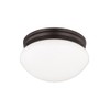 Generation Lighting 2-Light Webster Traditional Flush Mount Ceiling Light Bronze