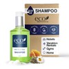 Terra Pure | Eco Botanics Shampoo, White Tea & Honey