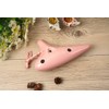 TNG Alto C-Tube Ocarina 12 Hole, Pink, With Case, Strap,
