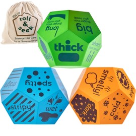 Rivajam Scavenger Hunt for Kids ages 4-8, Toddler & Family Find it Game with Dice, Nature Educational Outdoor & Indoor Home & Camping Games