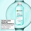 Garnier Skin Active Agua micelar desmaquillante Pure Active para piel