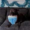 Midlee Menorah Sugar Cookie Dog Toy (Large)