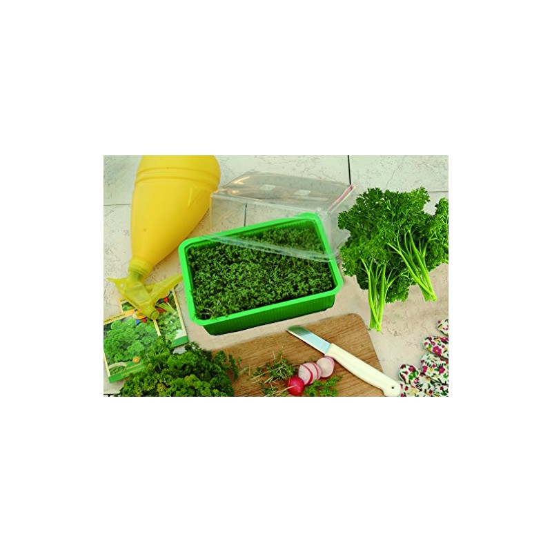 Floraworld 011517 Indoor Greenhouse Small Classic Green 20 x 15