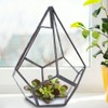 Stylish Geometric Shape Flowerpot Glass Plant Planter Succulent Plants Container