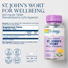 SOLARAY St. Johns Wort Aerial Extract One Daily 900mg, Standardized