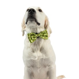 Huxley & Kent Bow Tie for Pets - Happy Avocados (Large) - Spring Bow Tie Collar Attachment - Fun Collar Accessory for Dogs & Cats - Cute, Comfortable, and Durable - H&K