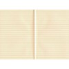 Vermilion (Vermilion) B6 notebook [Lateral Ruled] N67