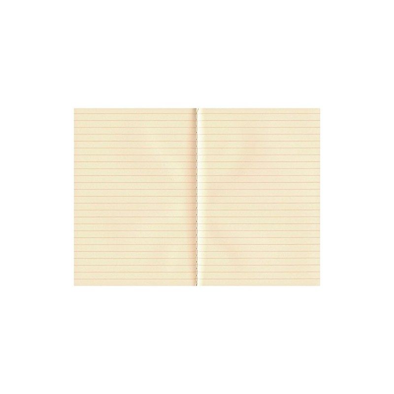 Vermilion (Vermilion) B6 notebook [Lateral Ruled] N67