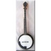Earl Scruggs BANJO Miniature Bluegrass FOR DISPLAY ONLY (b)
