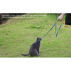 AMAGOOD 6 FT Puppy/Dog Leashes, Strong Traditional Style Leash with Easy to Use Collar Hook,Dog Lead Great for Small and Medium and Large (Blue,5/8" x 6 Feet)