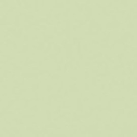 Rosco Roscolux Pale Yellow Green, 20x24 Color Effects Lighting Filter