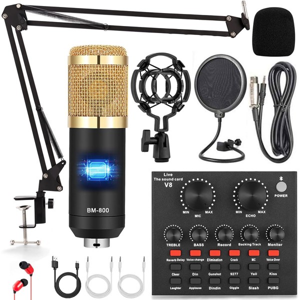 Podcast Equipment Bundle, Audio Interface with Voice Changer and BM800