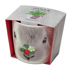 St New Grown Pottery Set Hannah & Animals GD – 85801 D 9 X/Tall, X 9 cm Wide