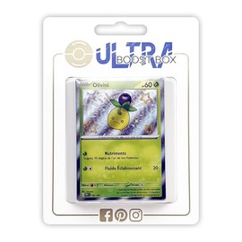 my-booster Pokémon Company SV045-FR-UB-102, Multi-Colour