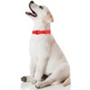 FEimaX Waterproof Silicone Dog Collar with Adjustable and Stinkproof，Dog Collars