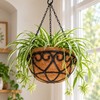 Coconut Brown Hanging Planter Basket for Indoor & Outdoor Plants