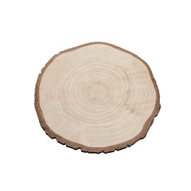 Decorative Wooden Discs Display Printed Hard Foam 30 cm Diameter Natural Decorative Tree Discs Nature Decorations Autumn Decoration