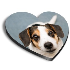 1 x Heart MDF Magnets - Jack Russell Terrier Puppy Dog Pet 16290