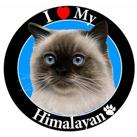 "I Love My Himalayan Cat" Car Magnet With Realistic Looking Himalayan Cat Photograph In The Center Covered In UV Gloss For Weather and Fading Protection Circle Shaped Magnet Measures 5.25 Inches Diameter