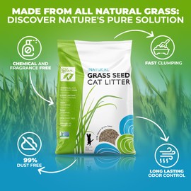 Only Natural Pet - Fast Clumping Cat Litter Non GMO Kitty Litter, Single or Multi Cat, Unscented - 20 lb Bag