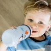Nip Boys' Sipper Cup with Straw Polypropylene 330 ml