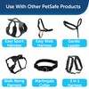 PetSafe Nylon Dog Leash - Strong, Durable, Traditional Style Leash