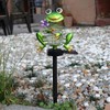 Solar Outdoor Lawn Lamp Frog Spring Garden Decoration Light Waterproof