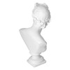 Nordic Style Character Figurine Bust Statue Craft Ornament for Desktop