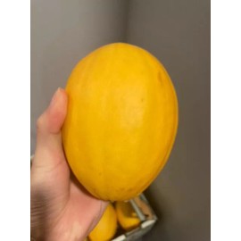 home garden 20 Korean Asaki - Sweet & Crisp Melon Seeds - Free Shipping