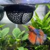 Bruislard 2 PCS Betta Bed, Floating Betta Hide & Shrimp