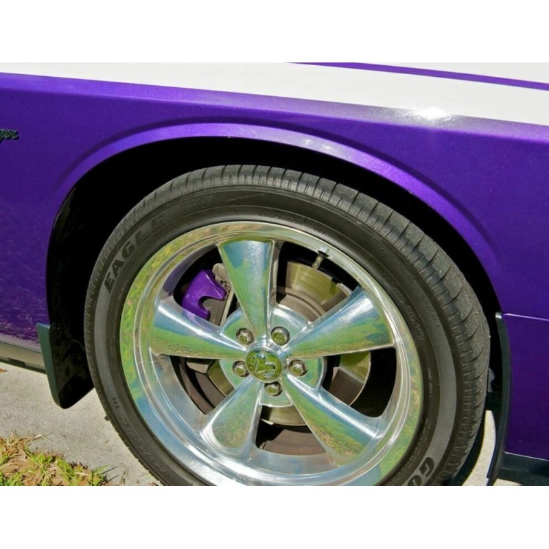 Dupli-Color Plum Purple Coating Caliper Brake Rotor Drum Engine Blocks