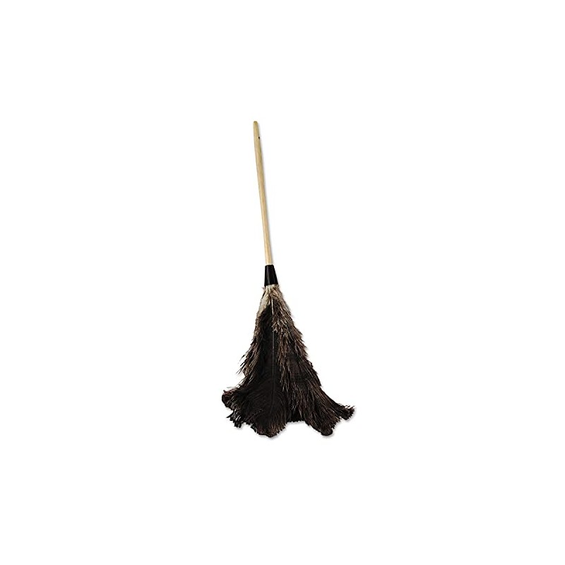 Boardwalk 28GY Professional Ostrich Feather Duster 16-Inch Handle
