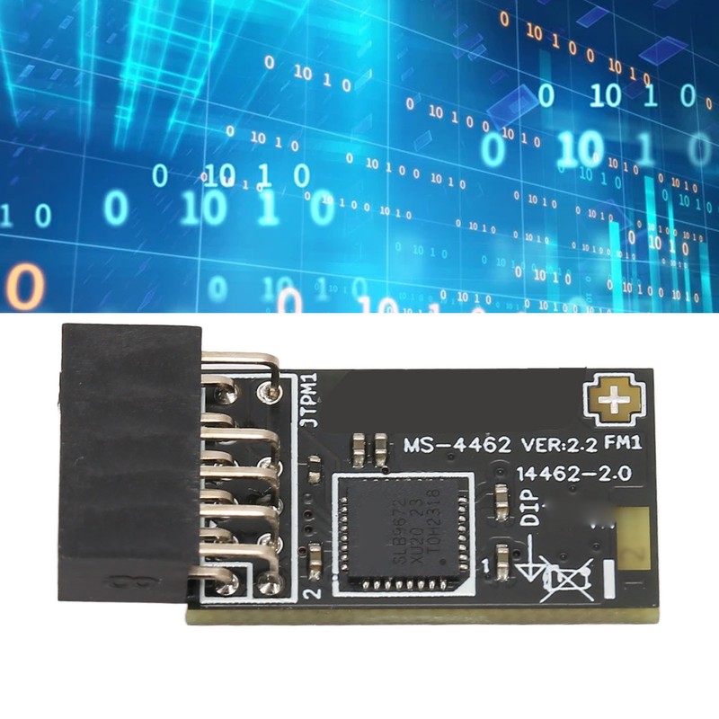TPM2.0 Module TPM SPI 12Pin Encryption Security Module with SLB