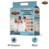Dr. Pol Male Dog Diapers – Super Absorbent, Breathable, Leak-Proof