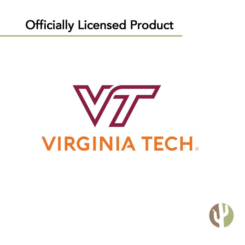 Desert Cactus Virginia Tech Flag Hokies VT Flags Banners 100%