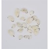 BestCity Fly Fishing BREAD FLY Pack of 20 Mixed size