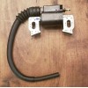 Honda NEW Genuine HONDA Ignition Module Coil Assy GX160 GX200