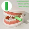 Chewies Aligner, Aligner Tray Seater, Aligner Chewies for Looping Chewie,