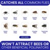 Fly Traps Outdoor Fly Trap for Patio. 12 Non-Toxic Pre-Baited