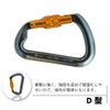 Carabiner Climbing Carabiner with Screw Lock Screw Safety Chain for