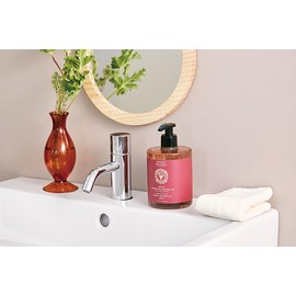 Panier Descent Renewing Grape CC Liquid Marseille Soap