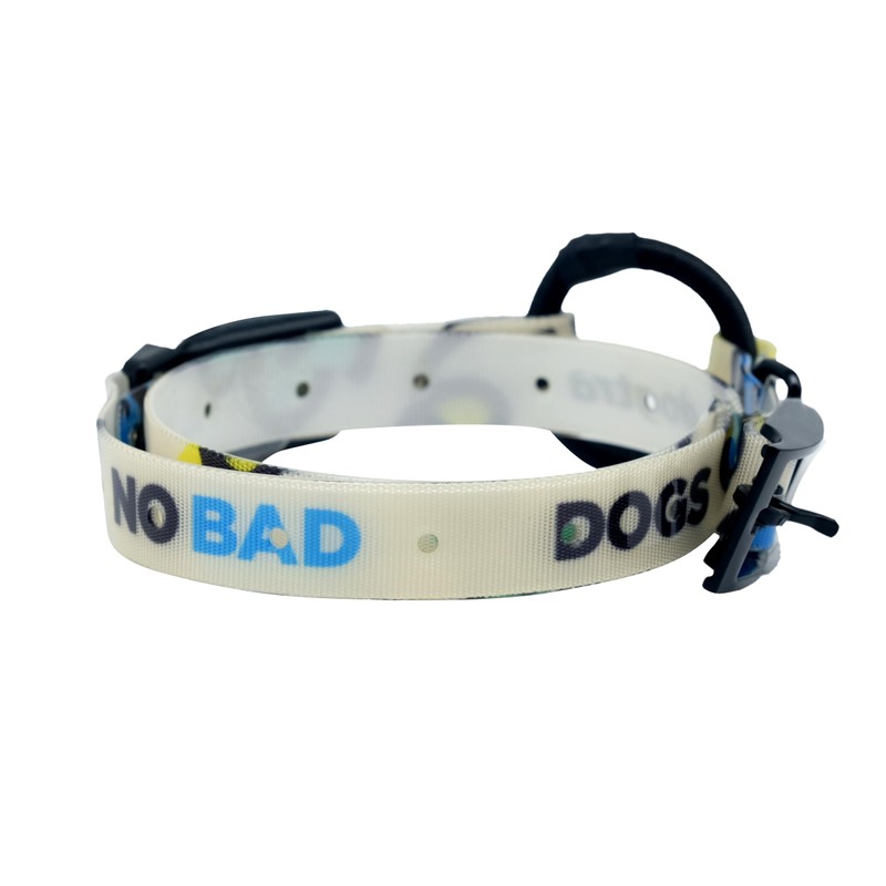 Dogtra Tom Davis Quick Release 3/4" Inch Strap with Buckle