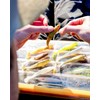 Berkley PowerBait® Cullshad Softbait | Lifelike Action Fishing Bait &