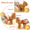 Jasinber Set de 4 Pañales de Perro Femenina Lavables, Envoltura